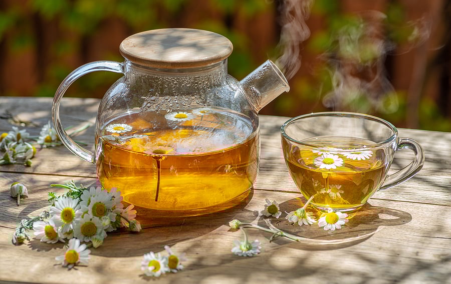 bigstock-Herbal-chamomile-tea-and-chamo-384666440