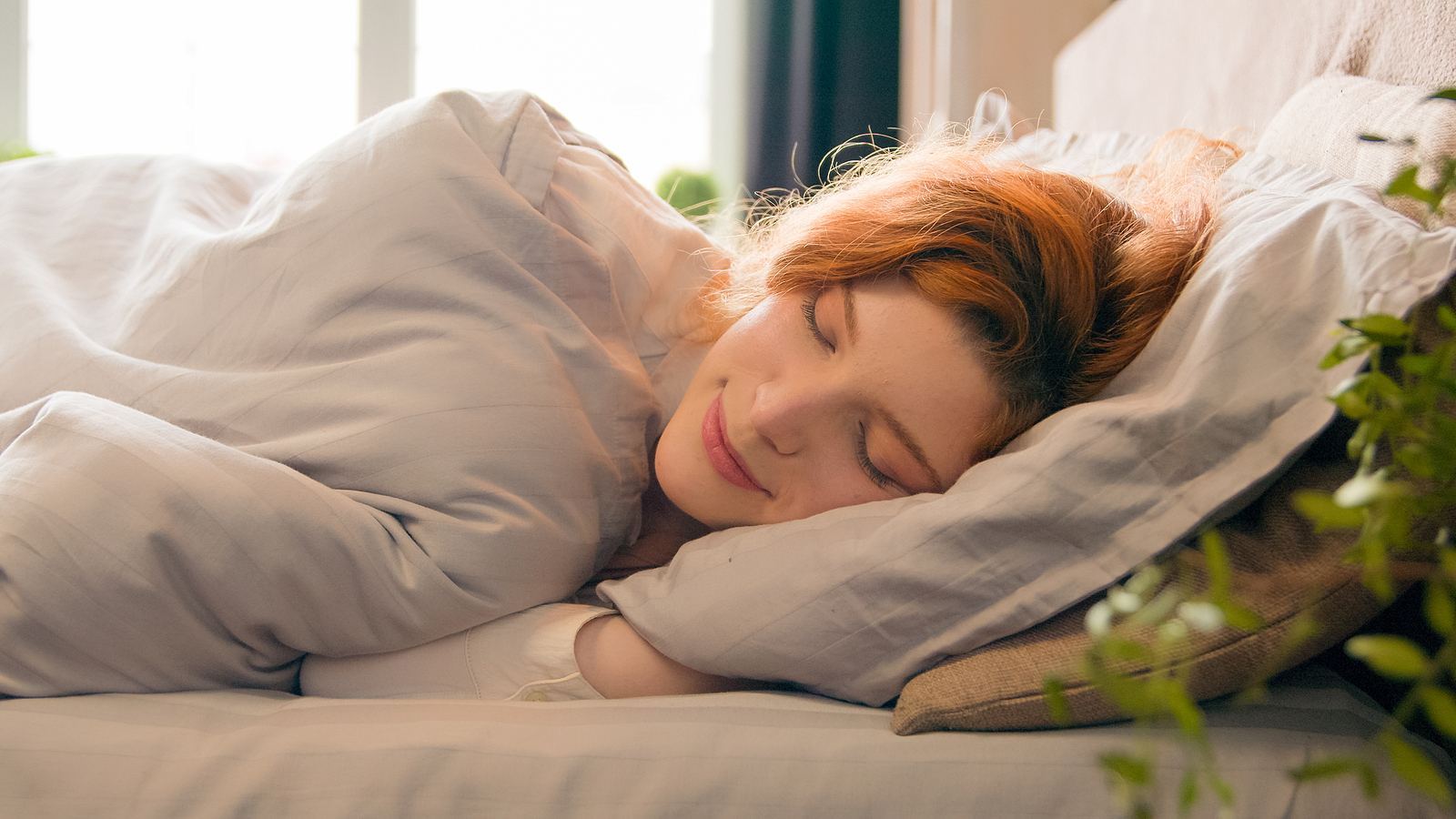 Best Natural Sleep Aids